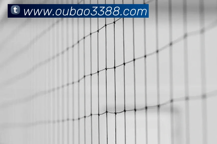 oubao欧宝APP 体育赛事宣传图
